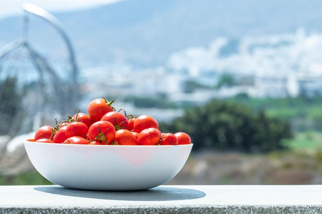Aelia Suites Adamantas  Dış mekan fotoğraf